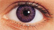 Freshlook Amethyst colored contacts for the holidays