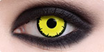 Angelic Yellow contact lenses