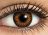 Freshlook Colorblends Honey colored contact lenses