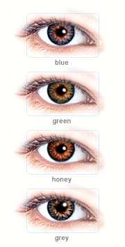 toric colored contacts